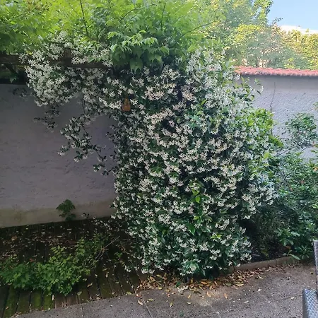 Superbe, Terrasse, Secure Appartement Lyon